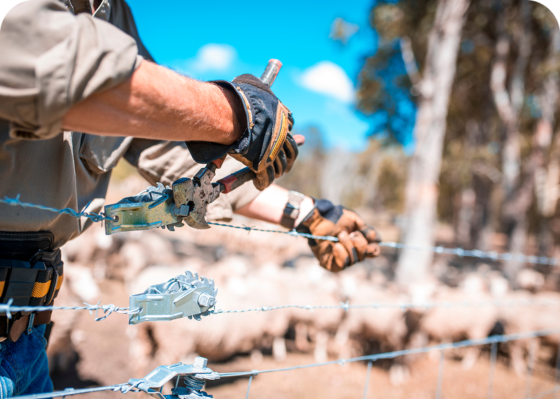 Worker tightening barbed wire fence