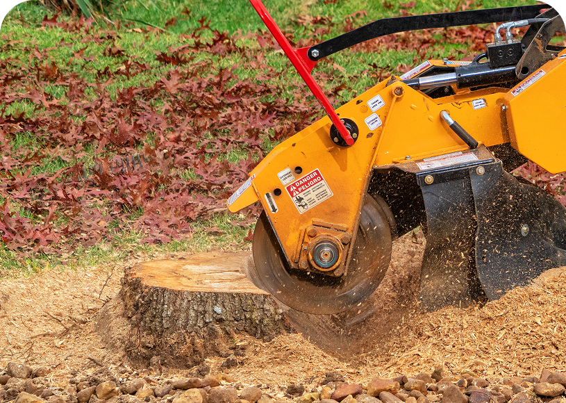 Tree stump removal with grinder machine