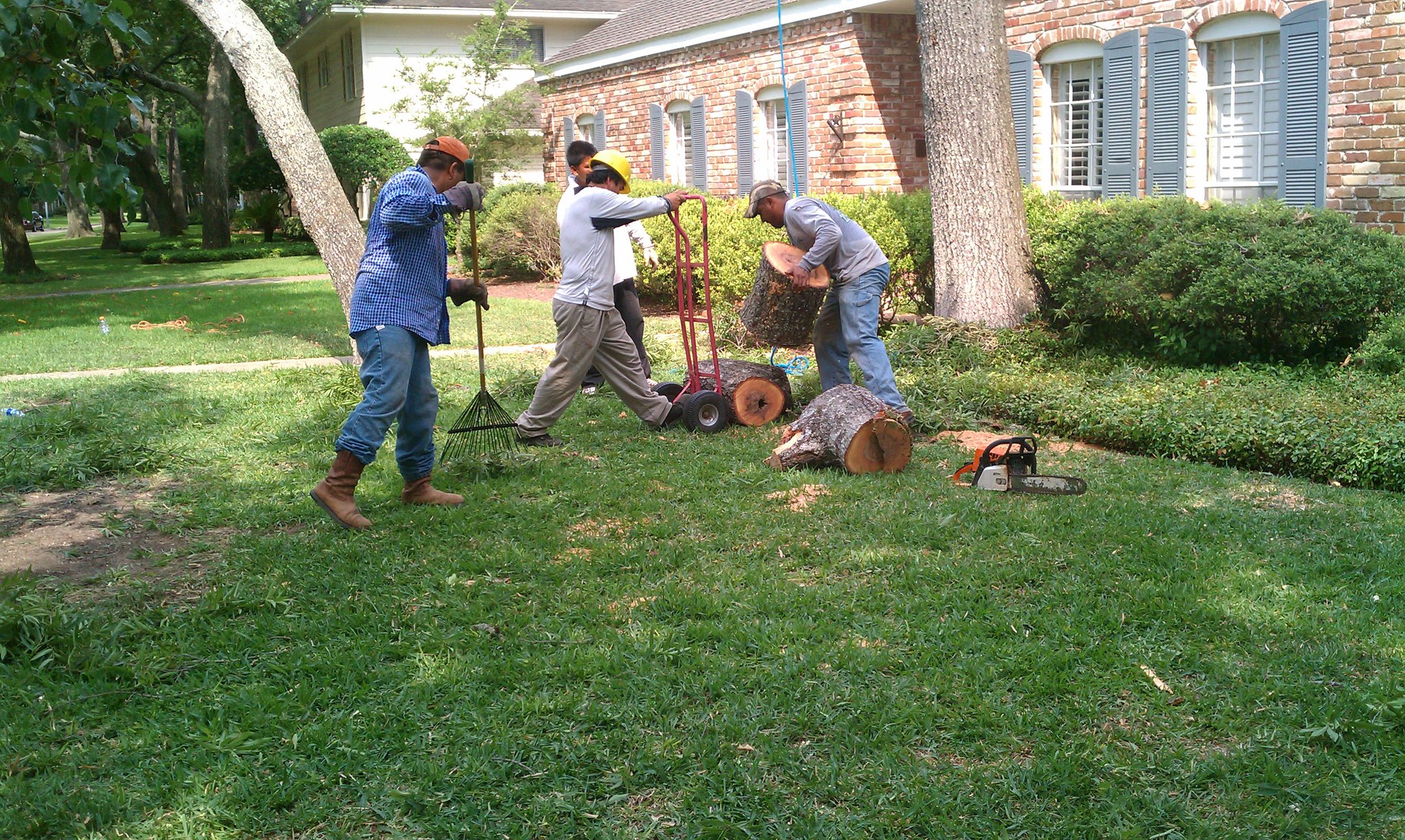 Team moving tree logs on grass