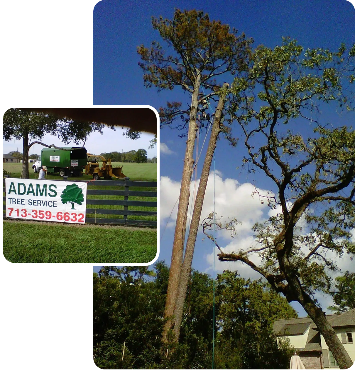 Tree cutting equipment and services sign