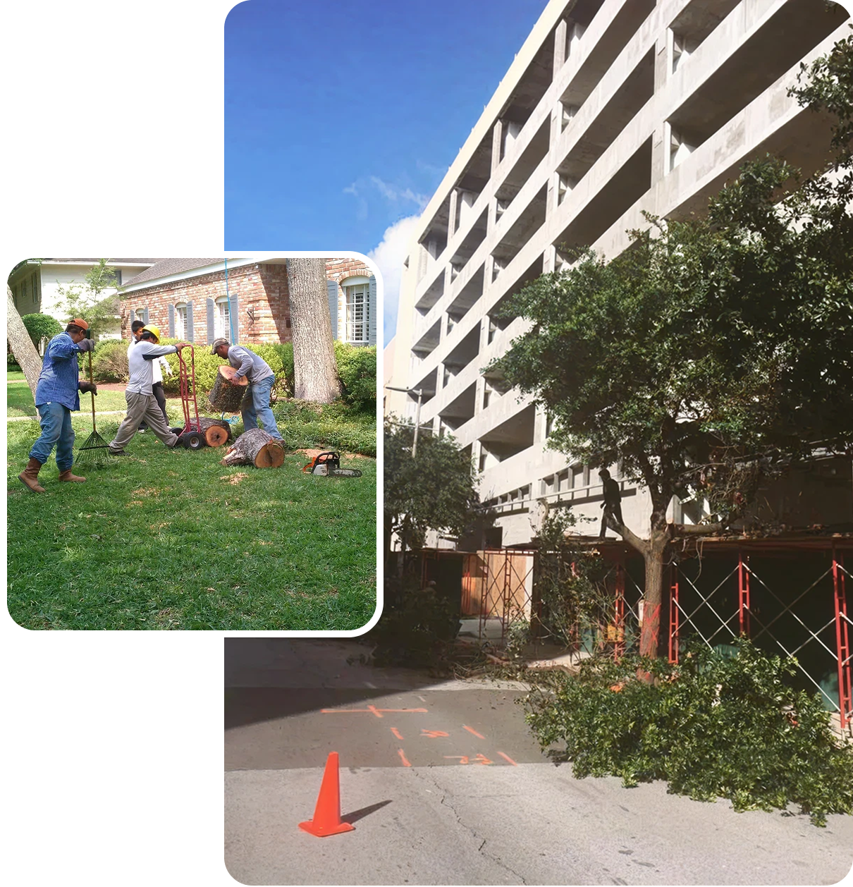 Urban landscaping project underway